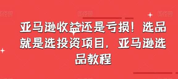 亚马逊收益还是亏损！选品就是选投资项目，亚马逊选品教程-云商网创