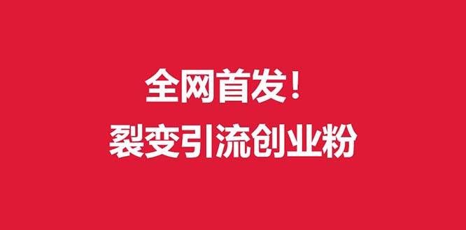 （9061期）（全网首发）外面收费几千的裂变引流高质量创业粉-云商网创