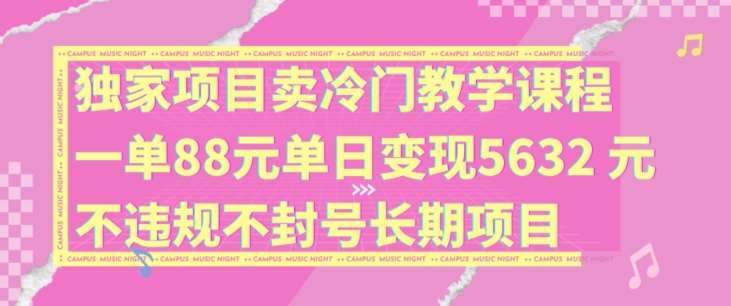 独家项目卖冷门教学课程一单88元单日变现5632元违规不封号长期项目【揭秘】-云商网创