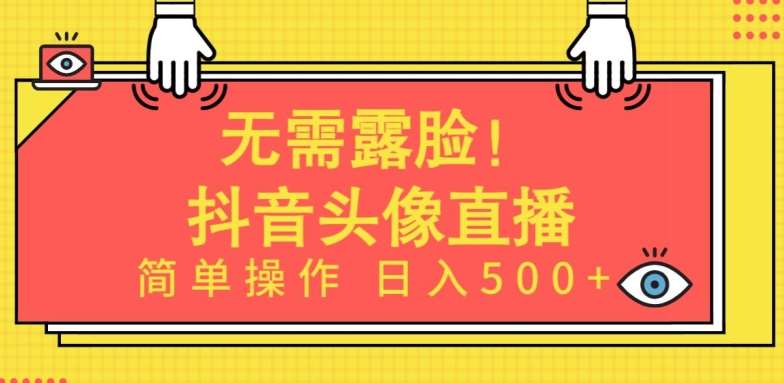 无需露脸，Ai头像直播项目，简单操作日入500+【揭秘】-云商网创