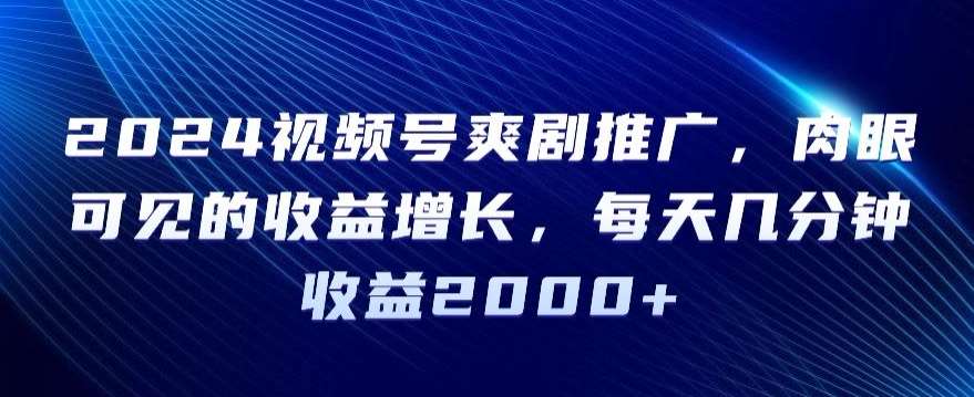 2024视频号爽剧推广，肉眼可见的收益增长，每天几分钟收益2000+【揭秘】-云商网创