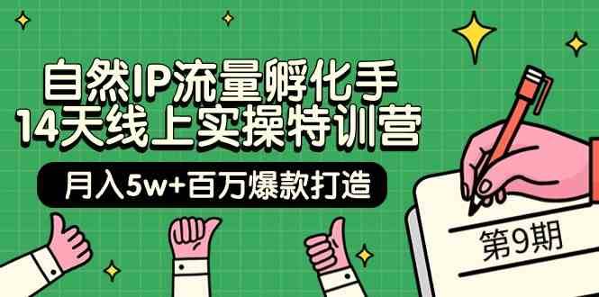 自然IP流量孵化手14天线上实操特训营【第9期】月入5w+百万爆款打造 (74节)-云商网创