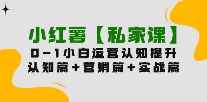 小红薯【私家课】0-1玩赚小红书内容营销，认知篇+营销篇+实战篇（11节课）-云商网创