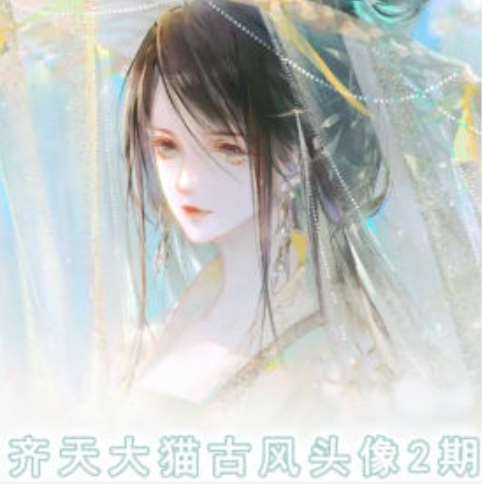 齐天大猫古风头像课第2期，帮助您提高您的绘画技能-云商网创