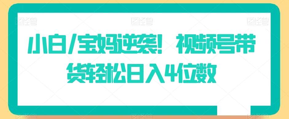 小白/宝妈逆袭！视频号带货轻松日入4位数【揭秘】-云商网创