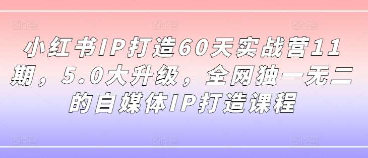 小红书IP打造60天实战营11期，5.0大升级，全网独一无二的自媒体IP打造课程-云商网创