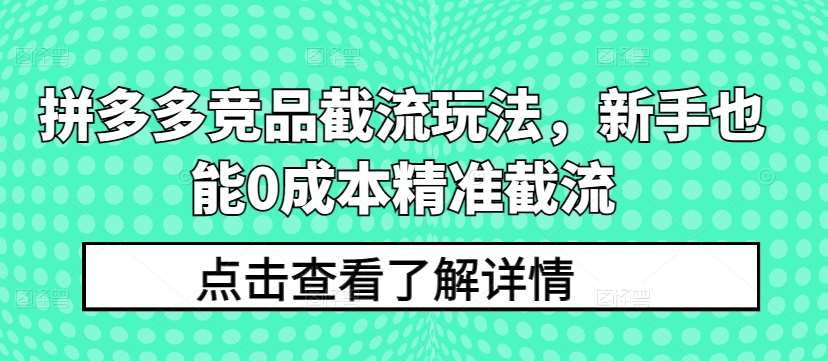 拼多多竞品截流玩法，新手也能0成本精准截流-云商网创