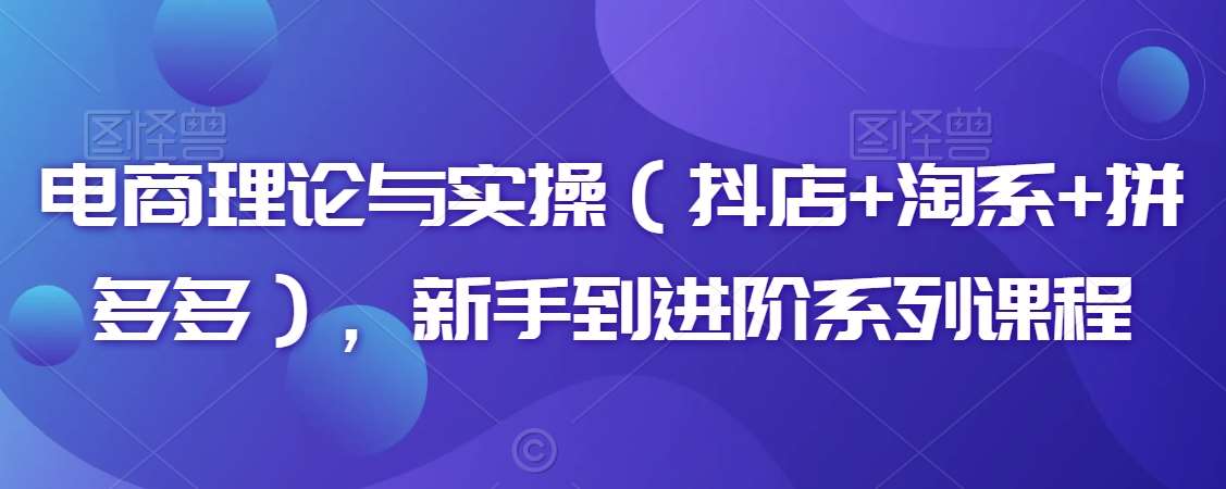 电商理论与实操（抖店+淘系+拼多多），新手到进阶系列课程-云商网创