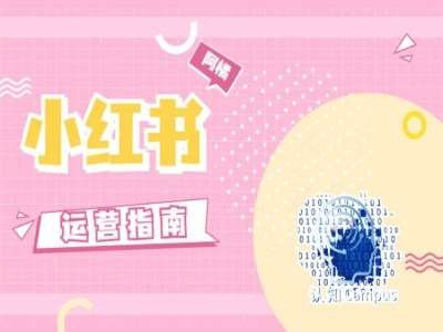 小红书运营指南，没有套路，全是经验-云商网创
