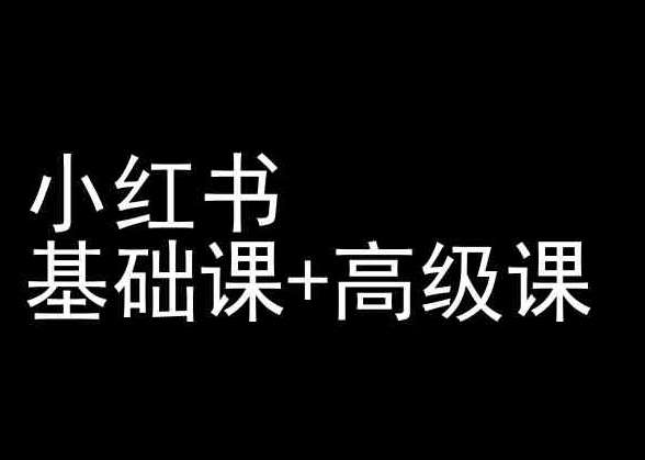 小红书基础课+高级课-小红书运营教程-云商网创