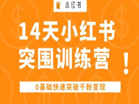 14天小红书突围训练营 ，0基础快速突破千粉变现-云商网创