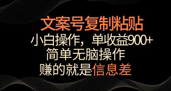 文案号掘金，简单复制粘贴，小白操作，单作品收益900+【揭秘】-云商网创