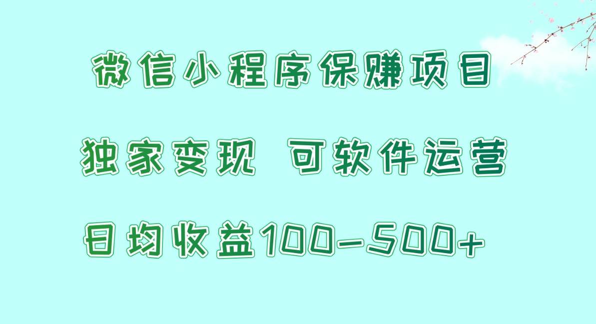 微信小程序保赚项目，日均收益100~500+，独家变现，可软件运营-云商网创