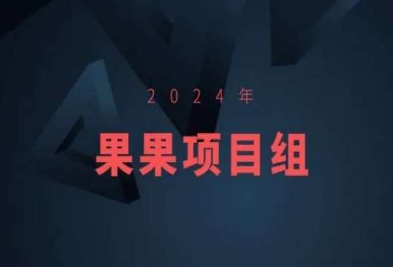 2024年果果项目组项目合集-果果最新项目-云商网创