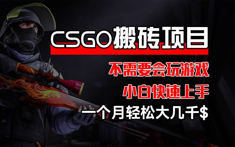 （12332期）CSGO 装备搬砖项目，操作简单，不需要会玩游戏，小白也能快速上手，一…-云商网创