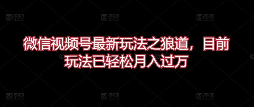 微信视频号最新玩法之狼道，目前玩法已轻松月入过万【揭秘】-云商网创