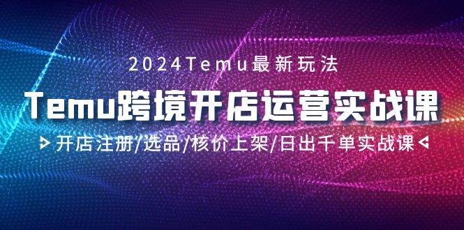 （9208期）2024Temu跨境开店运营实战课，开店注册/选品/核价上架/日出千单实战课-云商网创