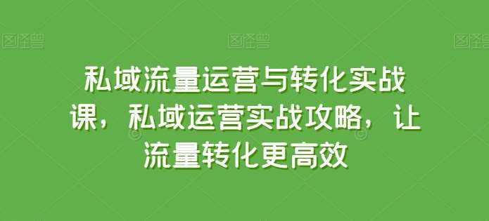 私域流量运营与转化实战课，私域运营实战攻略，让流量转化更高效-云商网创