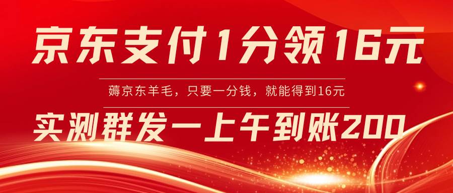 （8678期）京东支付1分得16元实操到账200-云商网创