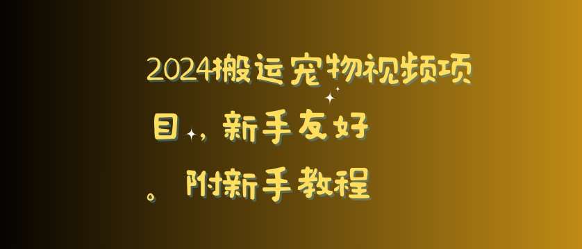 2024搬运宠物视频项目，新手友好，完美去重，附新手教程【揭秘】-云商网创