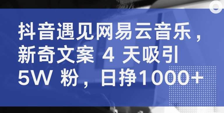 抖音遇见网易云音乐，新奇文案 4 天吸引 5W 粉，日挣1000+【揭秘】-云商网创