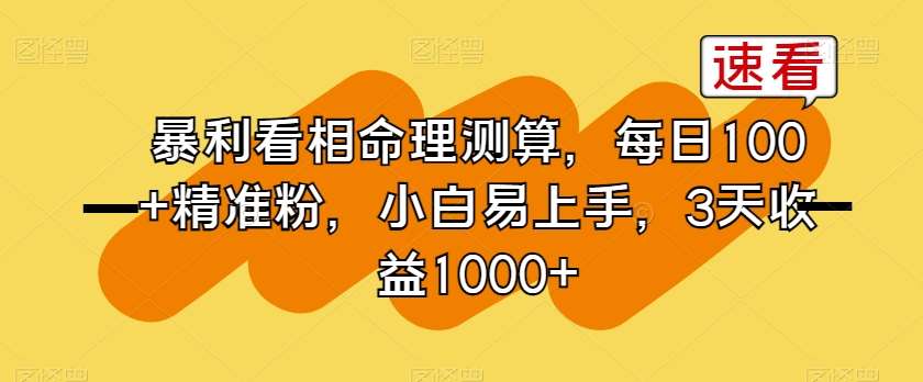 暴利看相命理测算，每日100+精准粉，小白易上手，3天收益1000+【揭秘】-云商网创