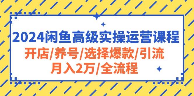 （10711期）2024闲鱼高级实操运营课程：开店/养号/选择爆款/引流/月入2万/全流程-云商网创