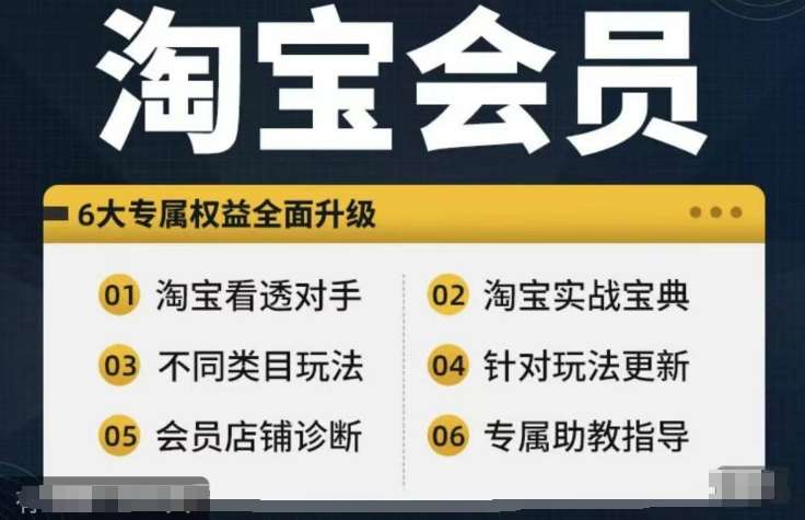 淘宝会员【淘宝所有课程，全面分析对手】，初级到高手全系实战宝典-云商网创