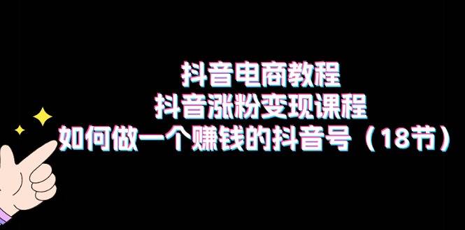 抖音电商教程：抖音涨粉变现课程：如何做一个赚钱的抖音号（18节）-云商网创