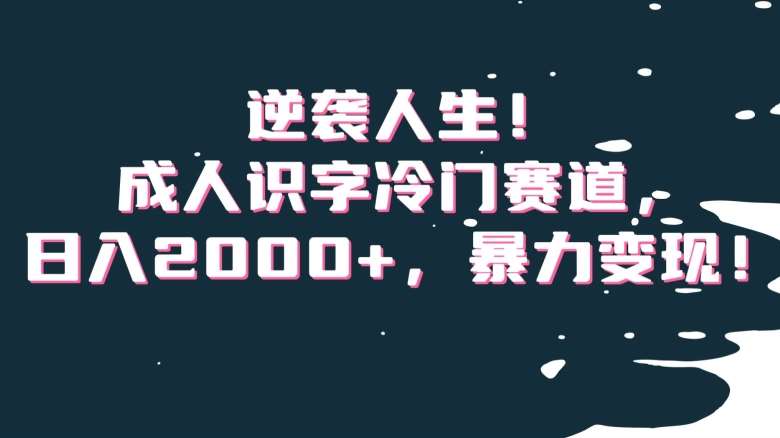 逆袭人生！成人识字冷门赛道，日入2000+，暴力变现！【揭秘】-云商网创