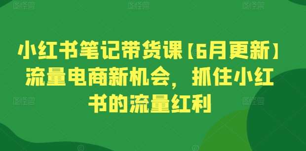 小红书笔记带货课【6月更新】流量电商新机会，抓住小红书的流量红利-云商网创