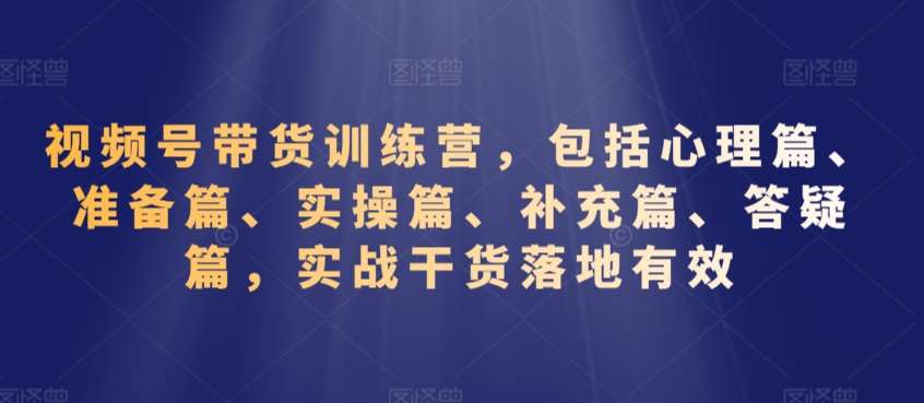 视频号带货训练营，包括心理篇、准备篇、实操篇、补充篇、答疑篇，实战干货落地有效-云商网创