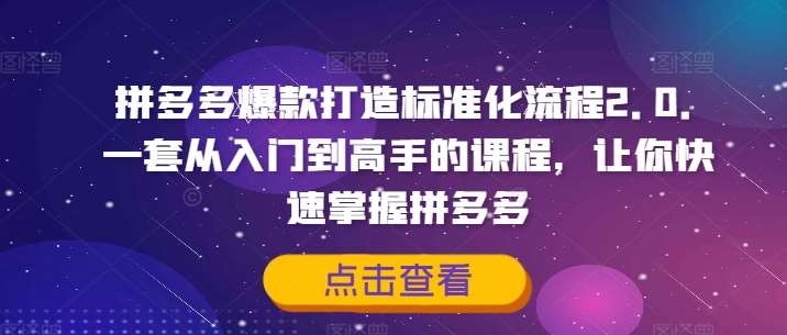 拼多多爆款打造标准化流程2.0，一套从入门到高手的课程，让你快速掌握拼多多-云商网创