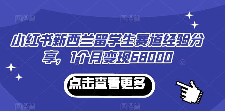 小红书新西兰留学生赛道经验分享，1个月变现68000【揭秘】-云商网创