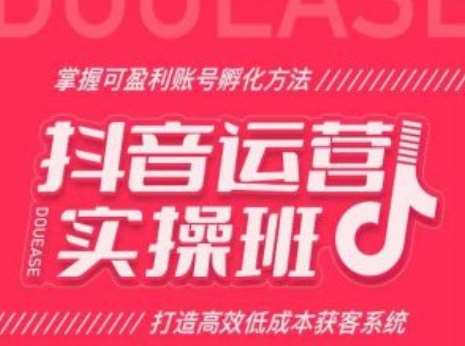 抖音运营实操班，掌握可盈利账号孵化方法，打造高效低成本获客系统-云商网创