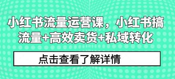 小红书流量运营课，小红书搞流量+高效卖货+私域转化-云商网创