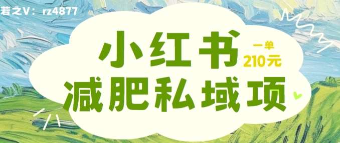 小红书减肥粉，私域变现项目，一单就达210元，小白也能轻松上手【揭秘】-云商网创