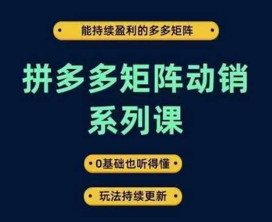 拼多多矩阵动销系列课，能持续盈利的多多矩阵，0基础也听得懂，玩法持续更新-云商网创