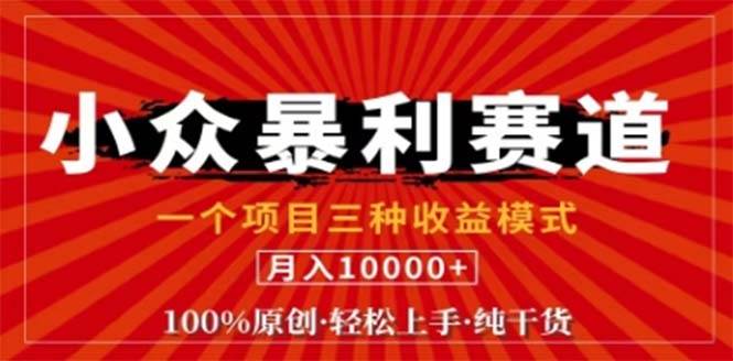 （12756期）视频号最新爆火赛道，三种可收益模式，0粉新号条条原创条条热门 日入1000+-云商网创