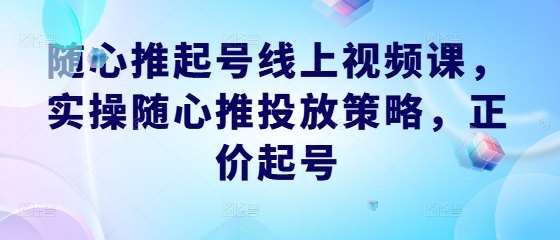随心推起号线上视频课，实操随心推投放策略，正价起号-云商网创