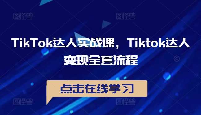 TikTok达人实战课，Tiktok达人变现全套流程-云商网创