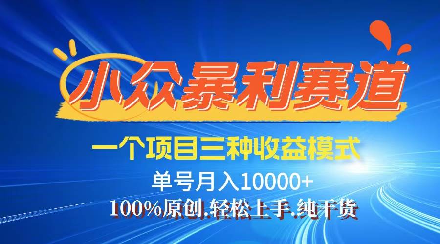 （12579期）【老人言】-视频号爆火赛道，三种变现方式，0粉新号调调爆款-云商网创