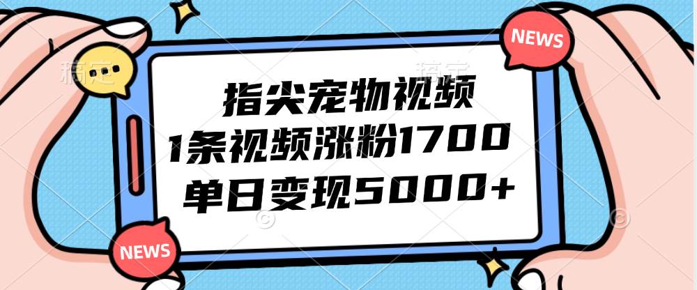 （12549期）指尖宠物视频，1条视频涨粉1700，单日变现5000+-云商网创