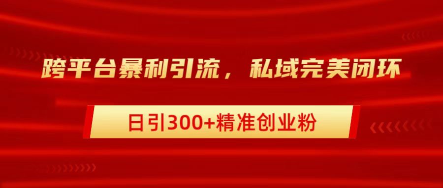跨平台暴力引流，私域完美闭环，日引300+精准创业粉-云商网创