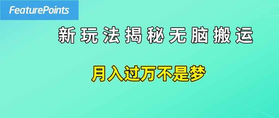 简单操作，每天50美元收入，搬运就是赚钱的秘诀！-云商网创