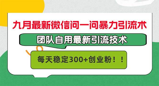 （12735期）九月最新微信问一问暴力引流术，团队自用引流术，每天稳定300+创…-云商网创