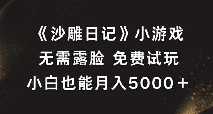 《沙雕日记》小游戏，无需露脸免费试玩，小白也能月入5000+【揭秘】-云商网创