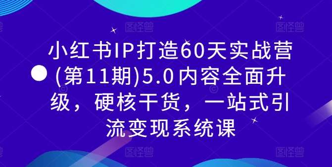 小红书IP打造60天实战营(第11期)5.0​内容全面升级，硬核干货，一站式引流变现系统课-云商网创