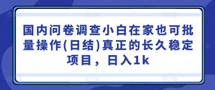 国内问卷调查小白在家也可批量操作(日结)真正的长久稳定项目，日入1k【揭秘】-云商网创