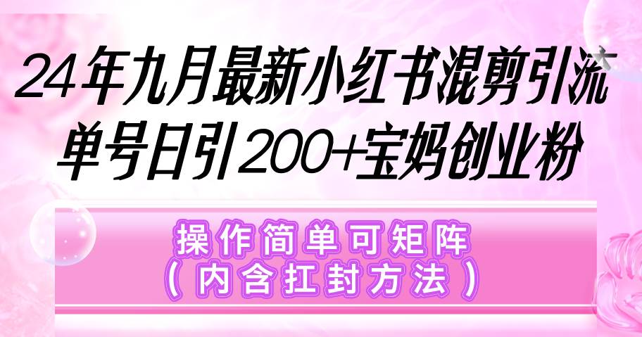 （12530期）小红书混剪引流，单号日引200+宝妈创业粉，操作简单可矩阵（内含扛封…-云商网创